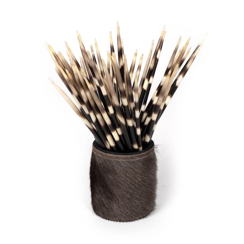 African Porcupine Quill – Ballyhoo Curiosity Shop