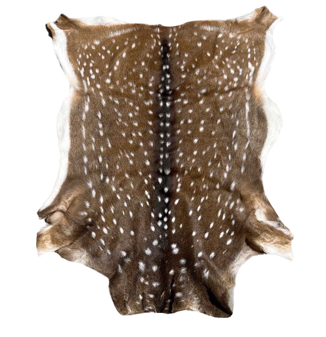 Axis Deer Skin – Wildlife Etc